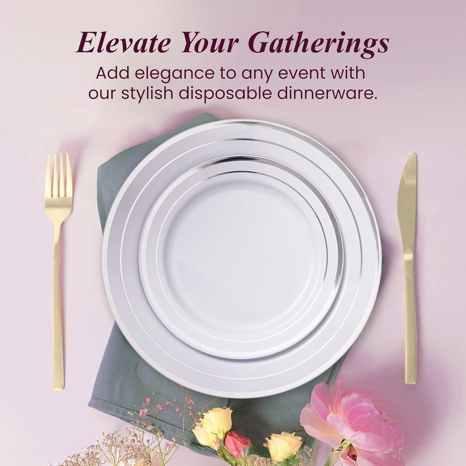 Ayas 60 Silver Rimmed Plastic Plates Set