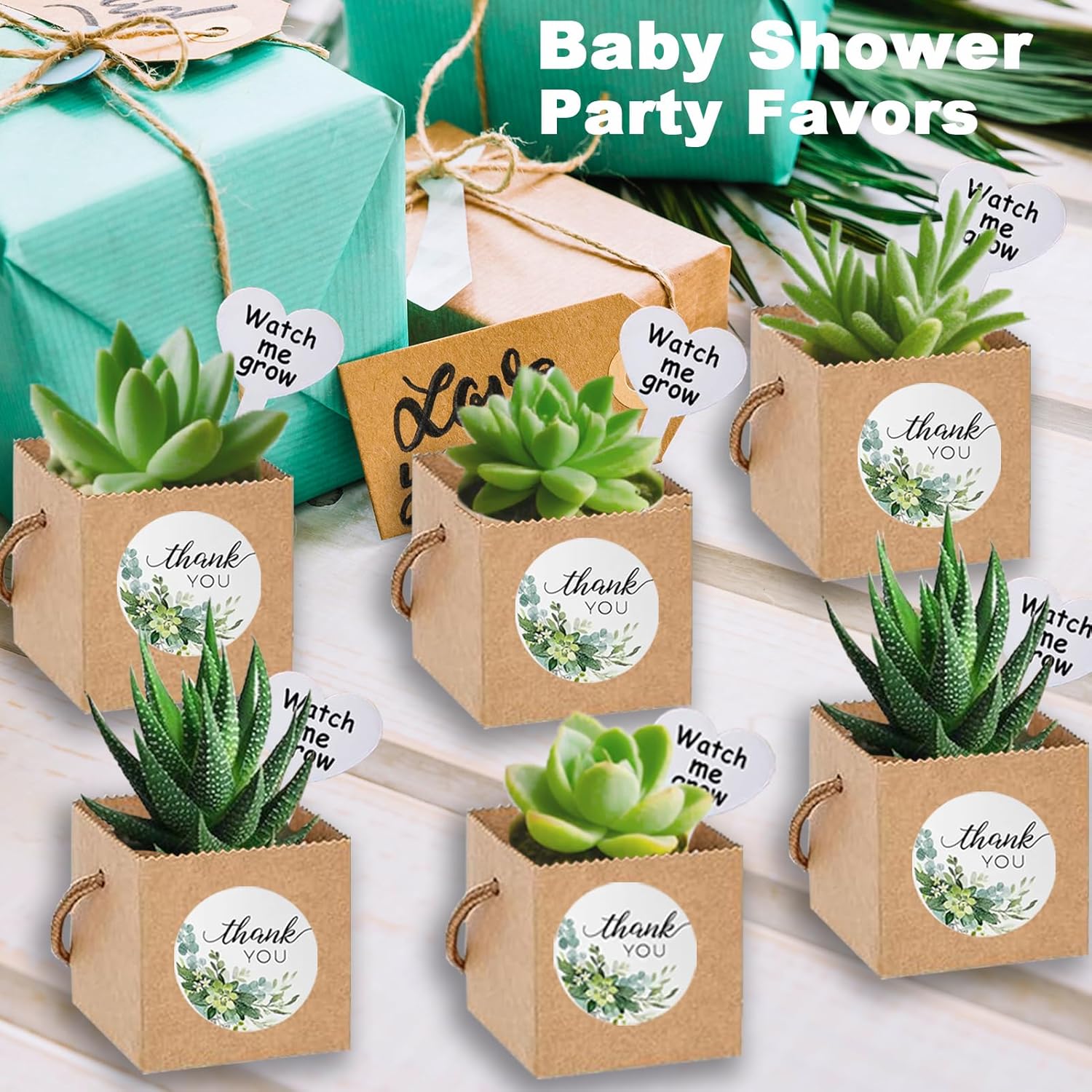 40 Pack Succulent Wrap Bags with Gift Box Set