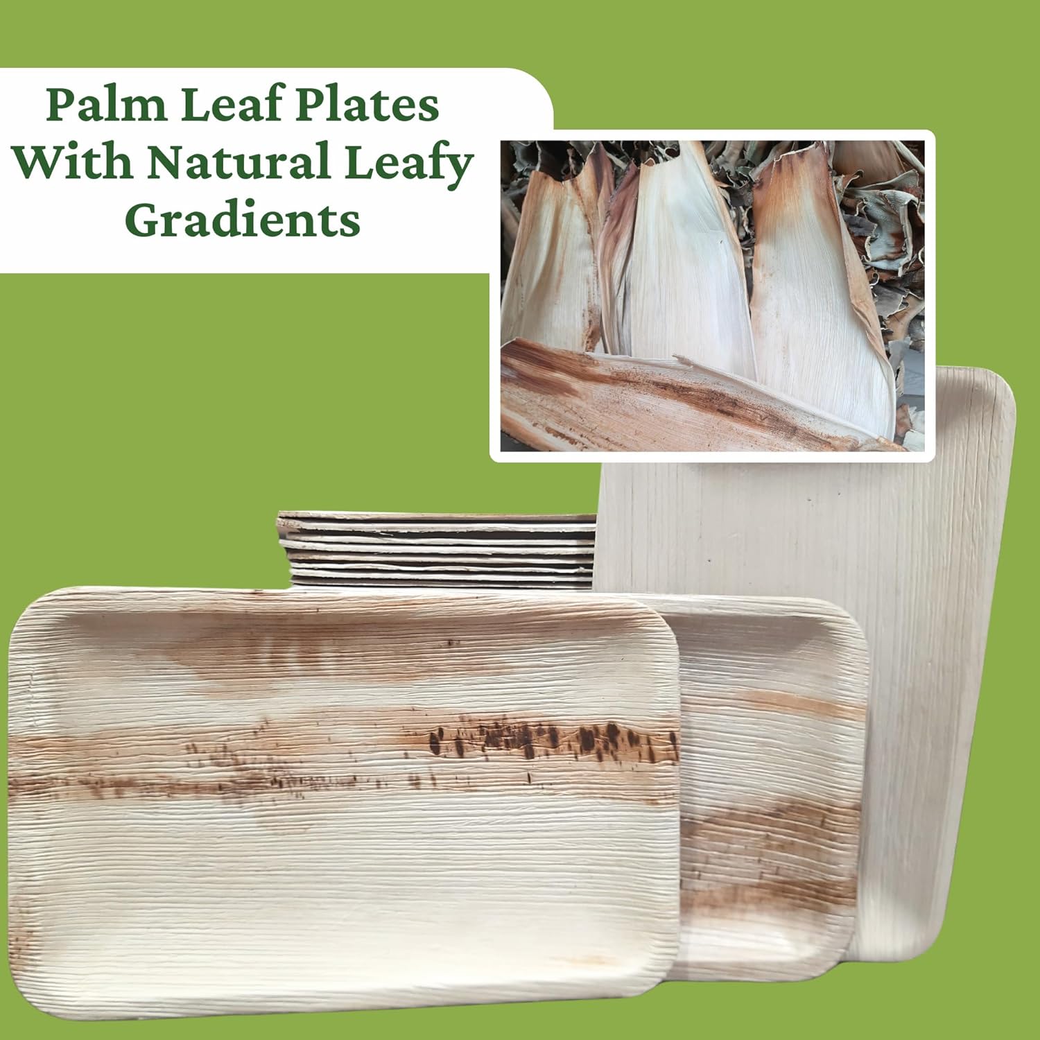 Dtocs Eco-Friendly Compostable 6x9 Inch Plates Pack 50