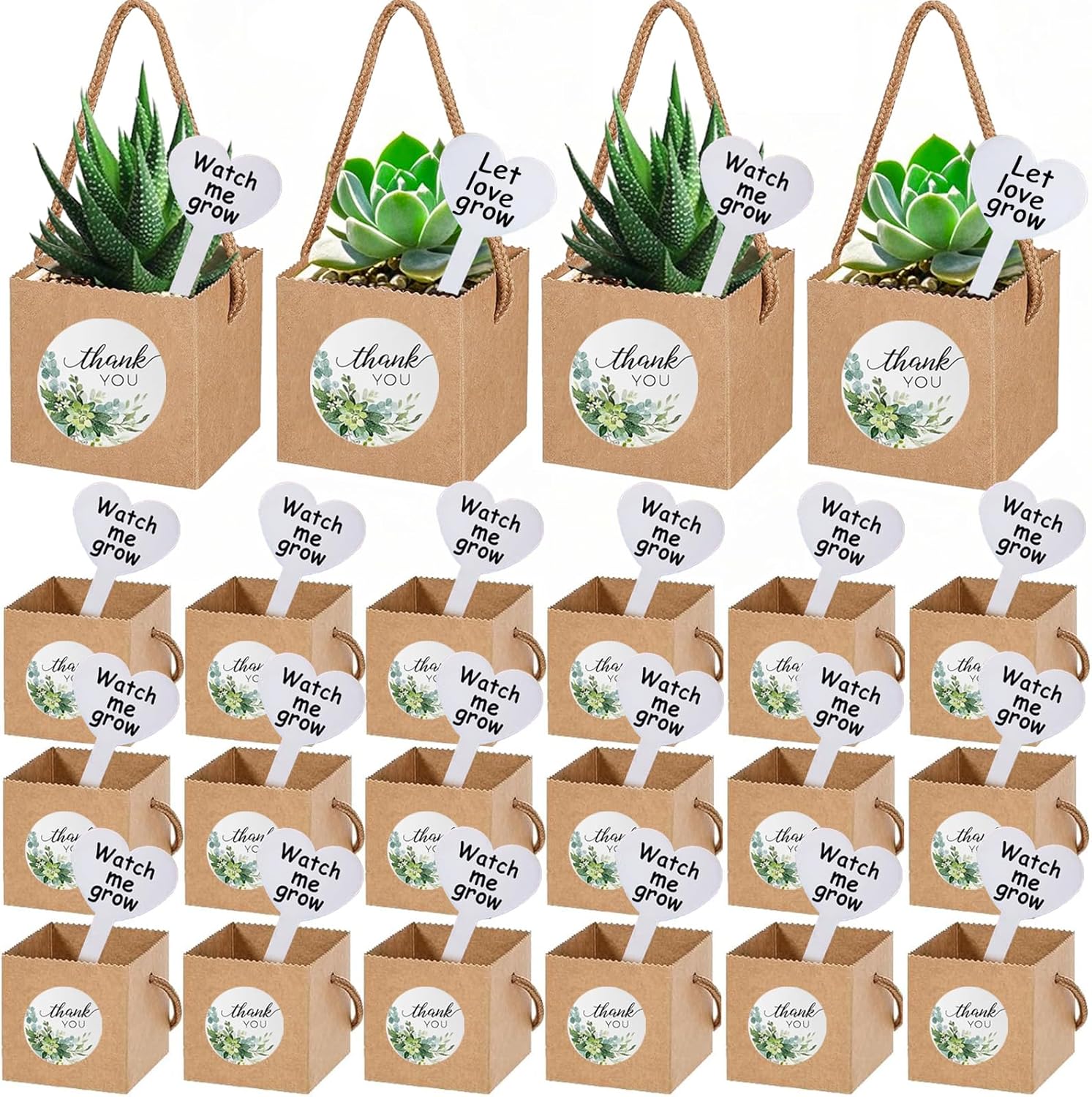 40 Pack Succulent Wrap Bags with Gift Box Set
