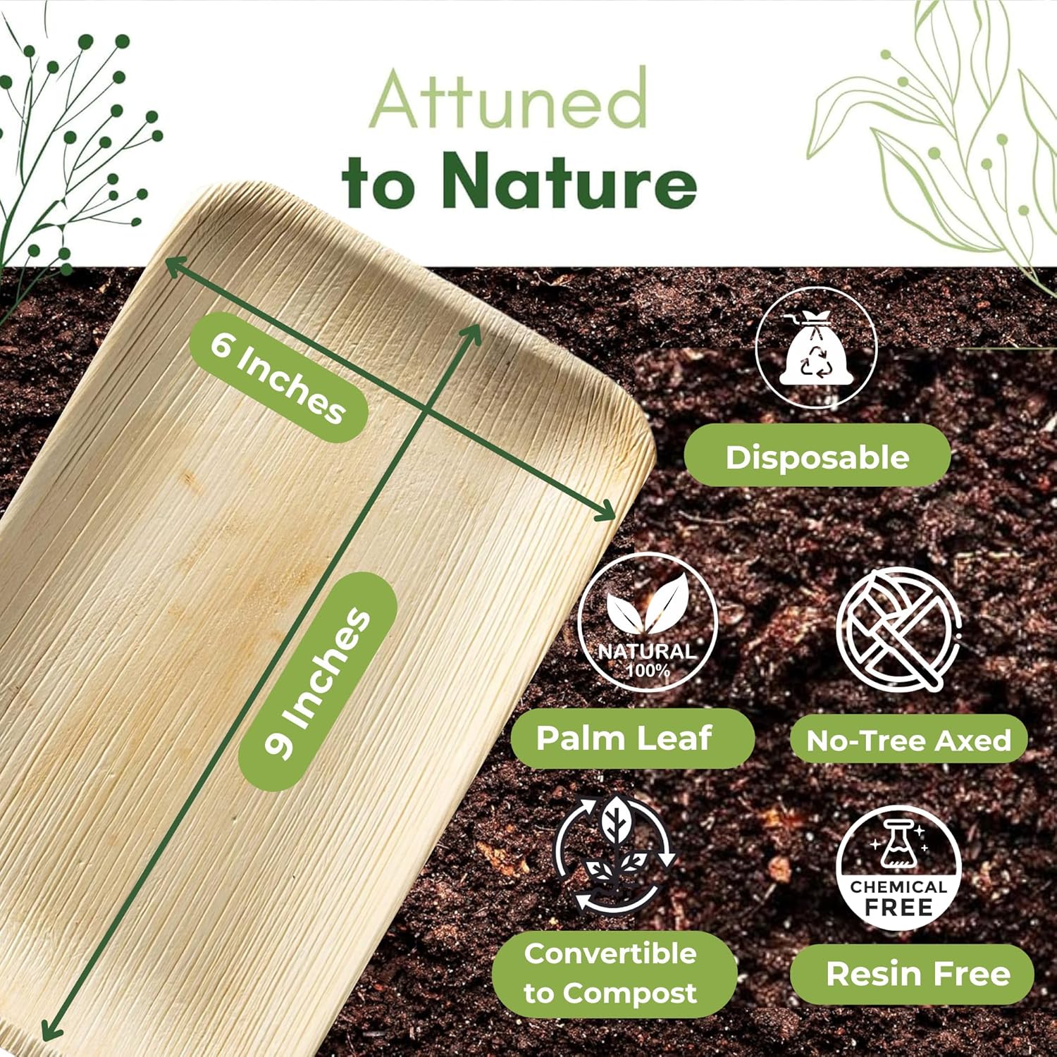 Dtocs Eco-Friendly Compostable 6x9 Inch Plates Pack 50